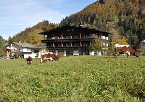Unterhausbachhof Ellmau 5